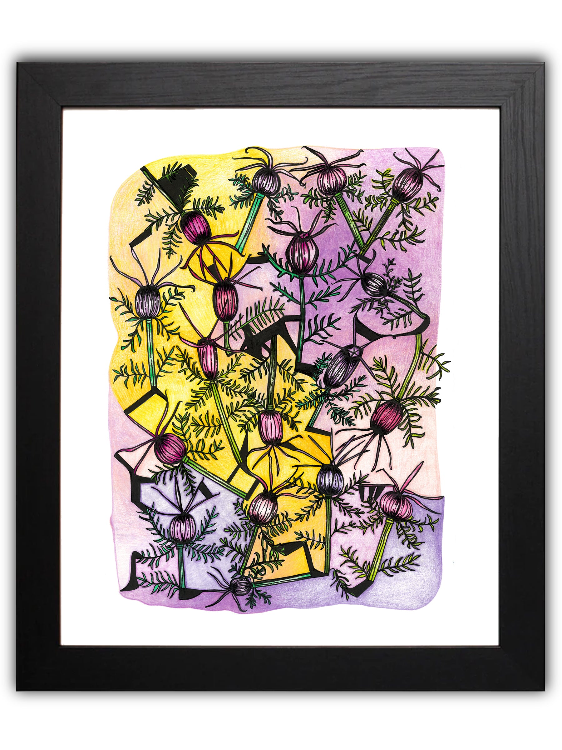 Abstract poppies plants