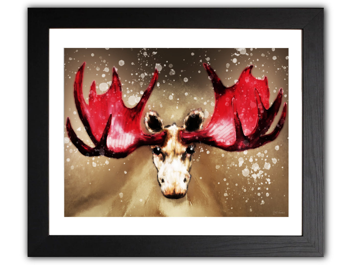 Albino Moose red antlers