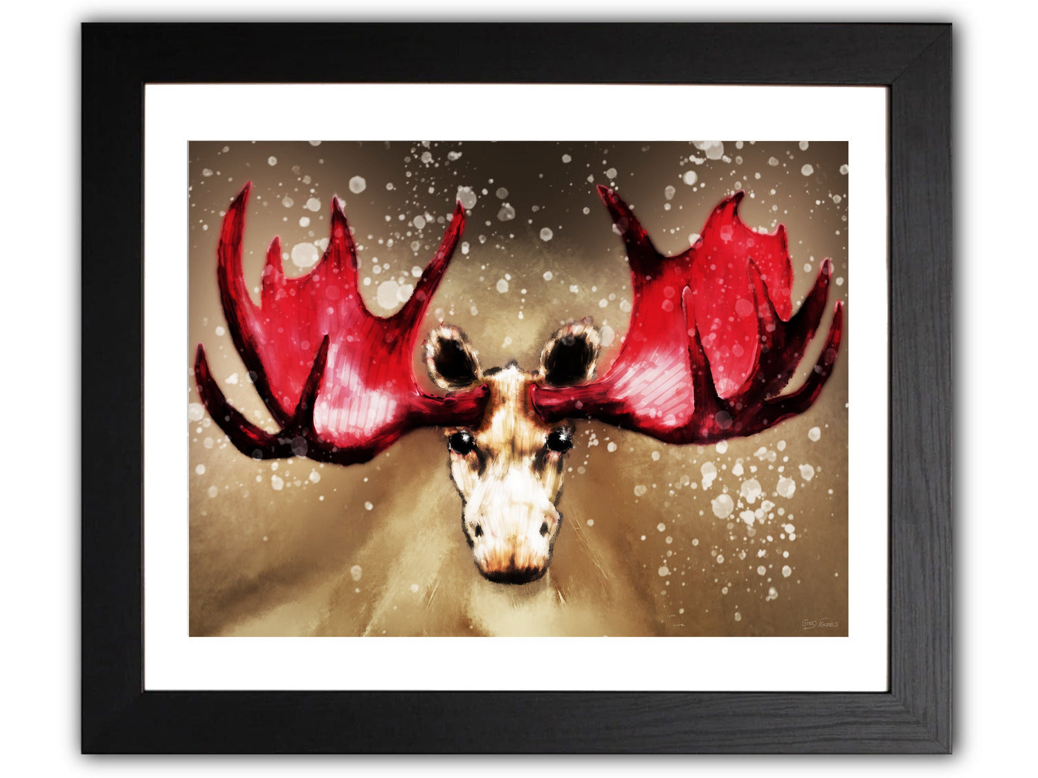 Albino Moose red antlers