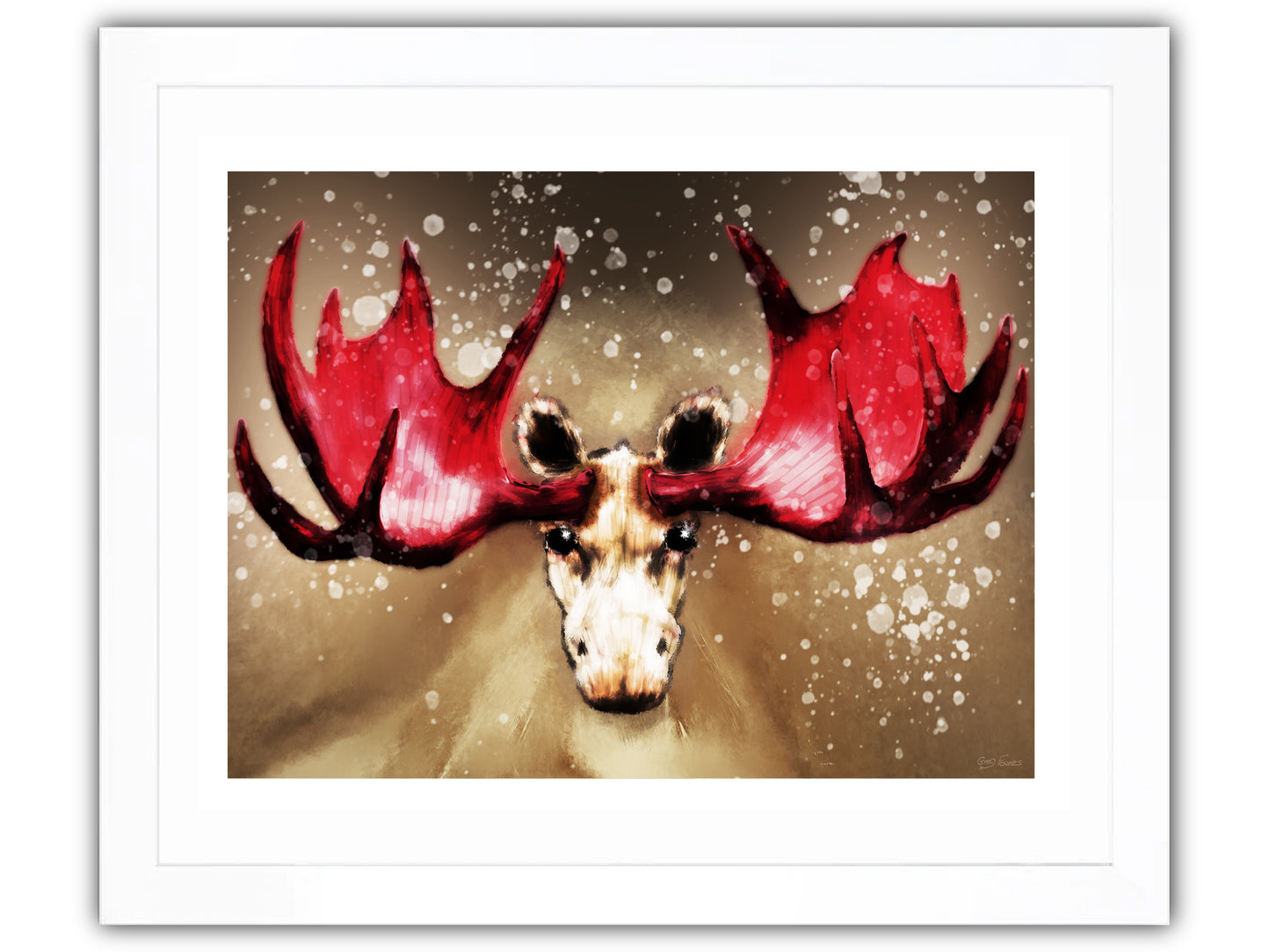 Albino Moose red antlers