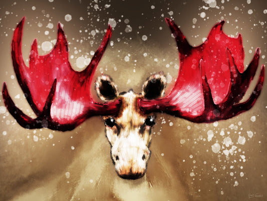 Albino moose with red antlers