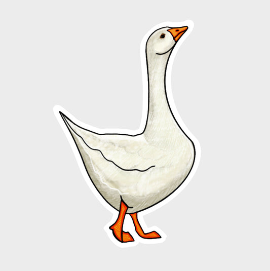 White goose
