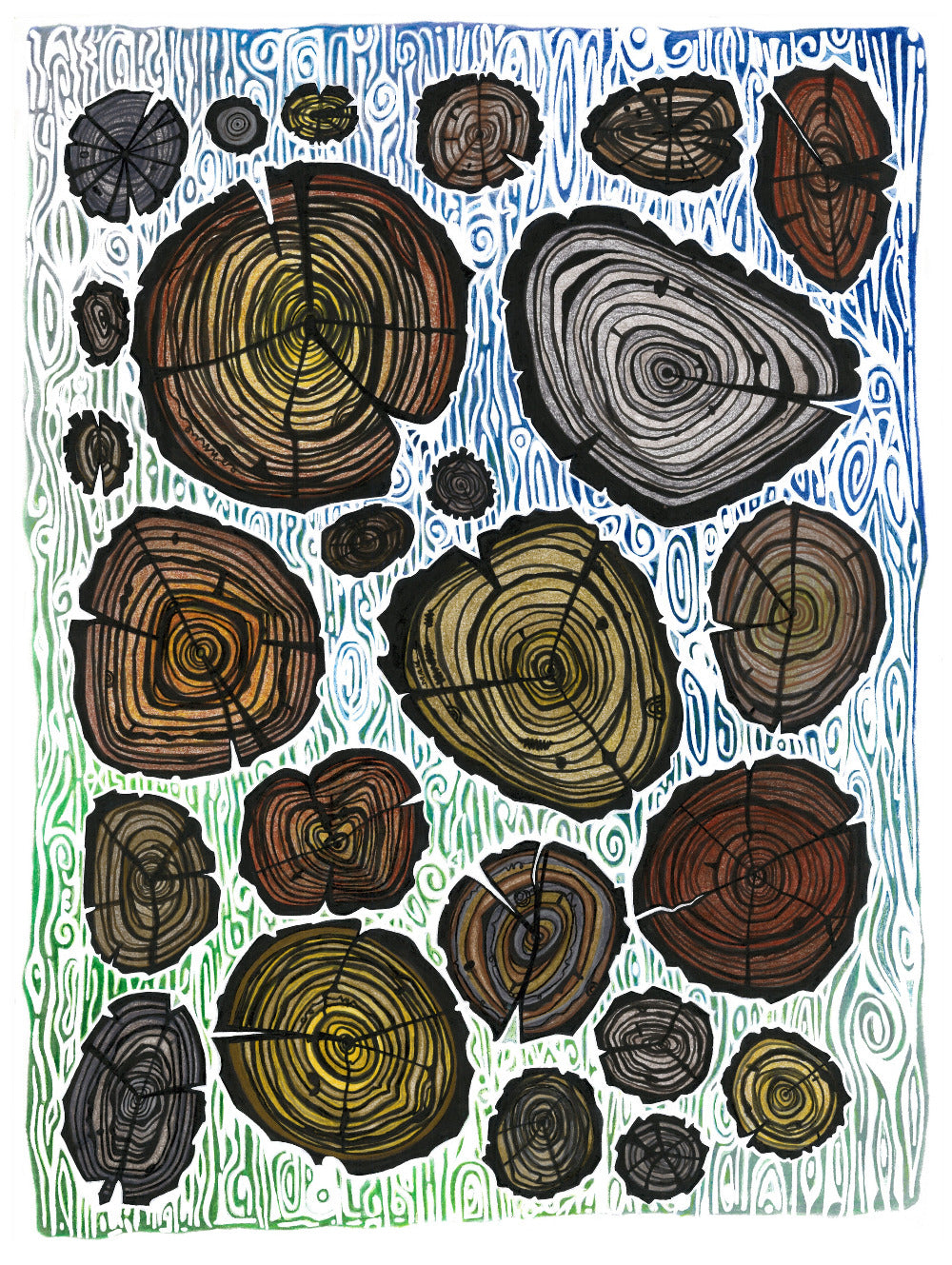 Top view of tree stumps