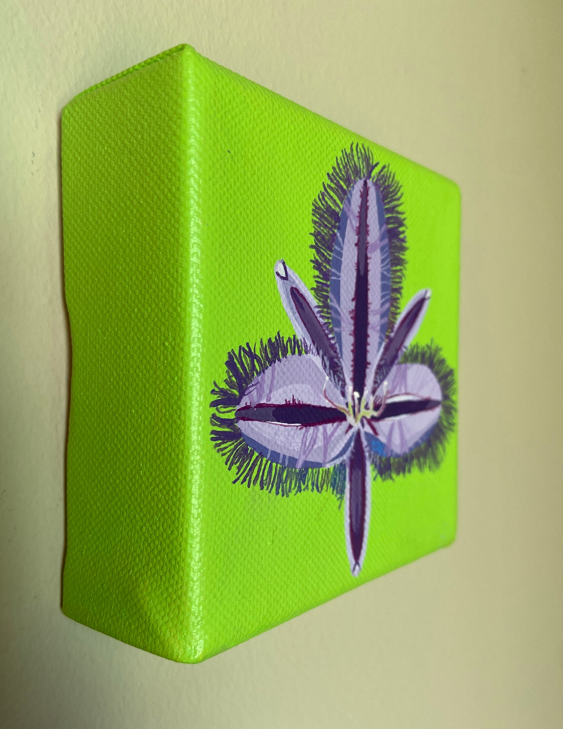 Purple flower on green background