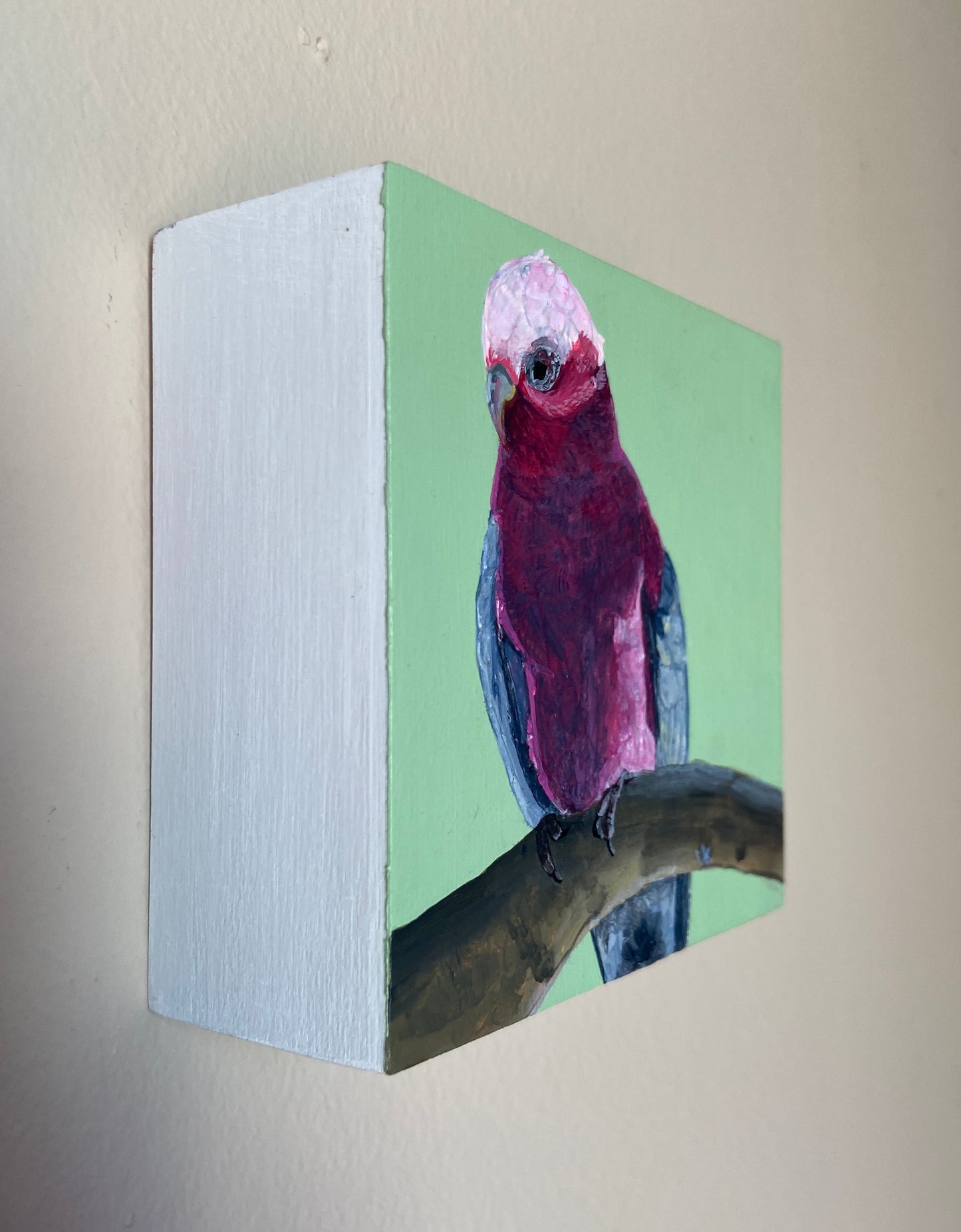 Red bird