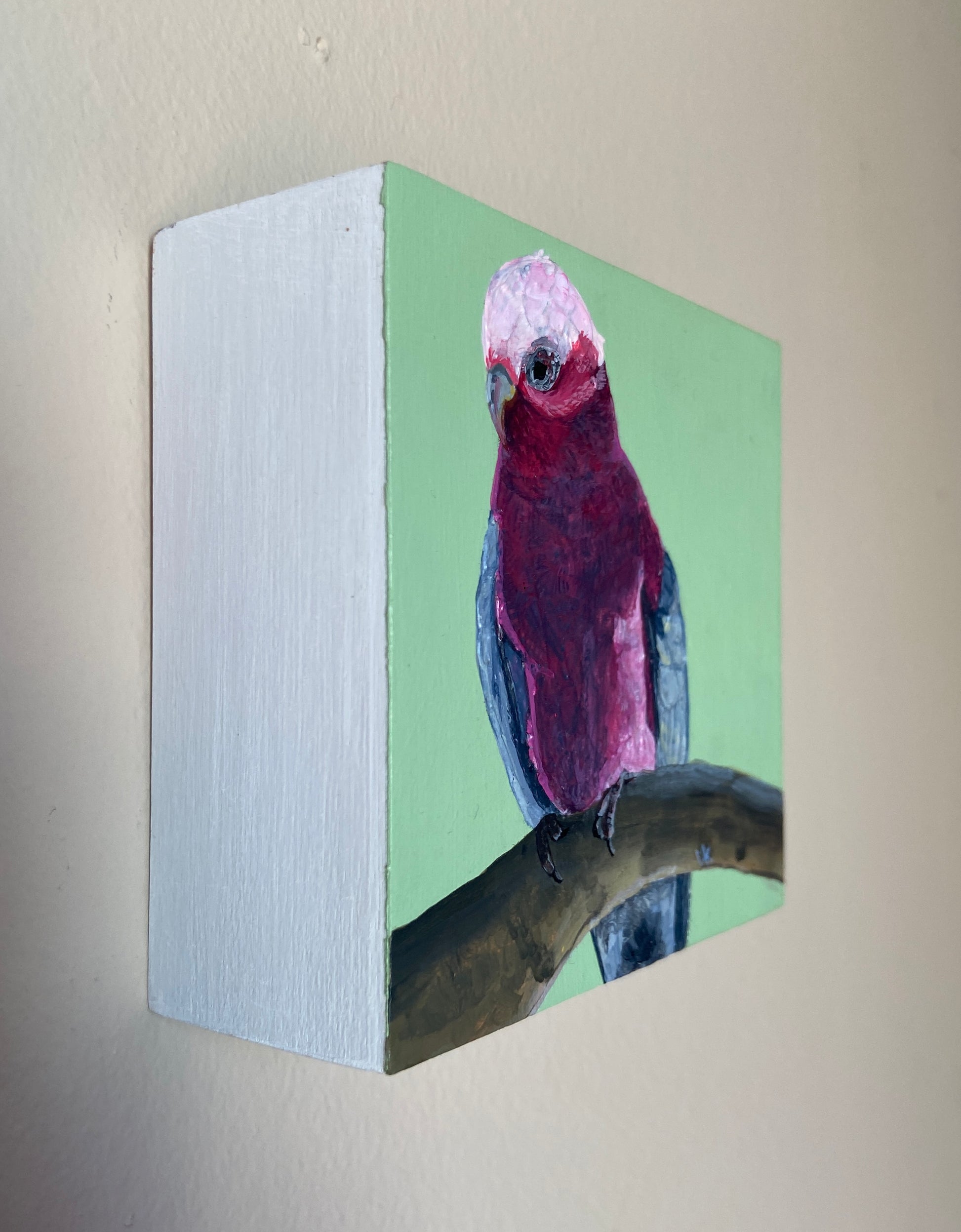 Red bird