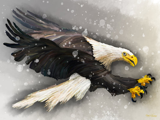Eagle flying