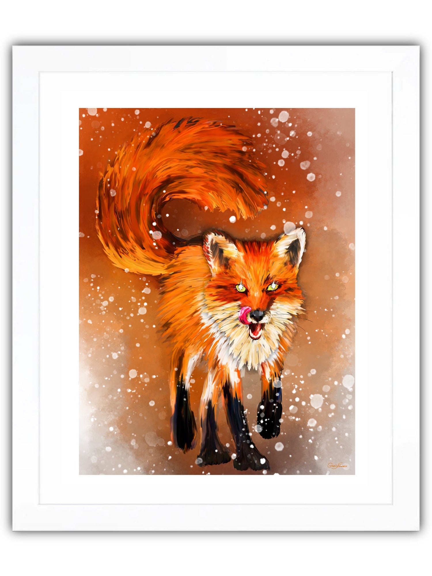 Red Fox Trotting
