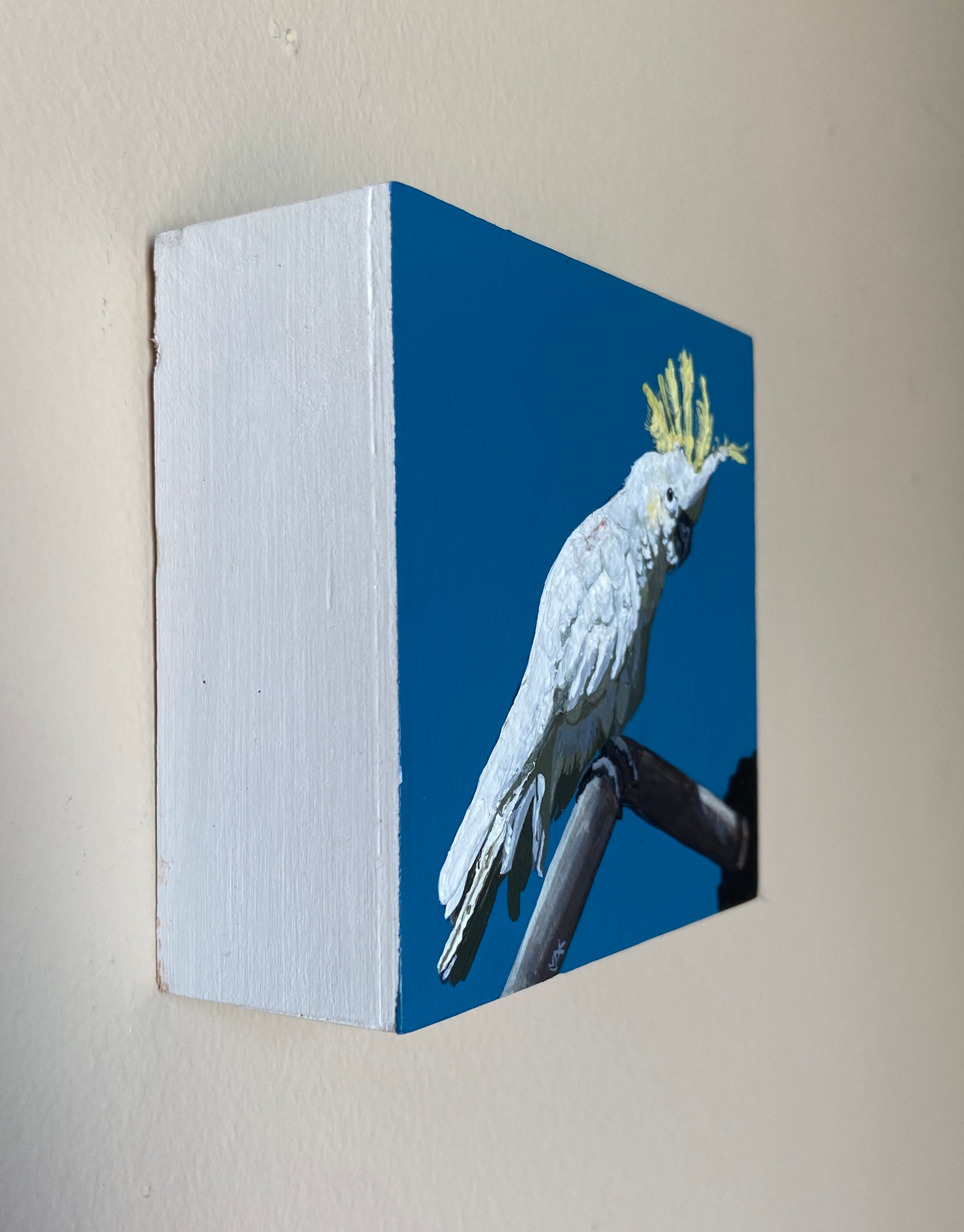 White Bird