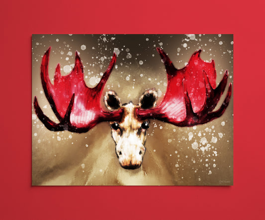 Albino Moose