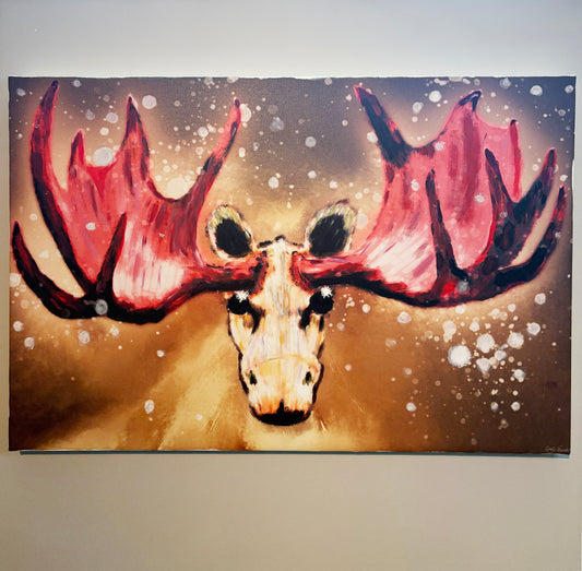 Albino Moose