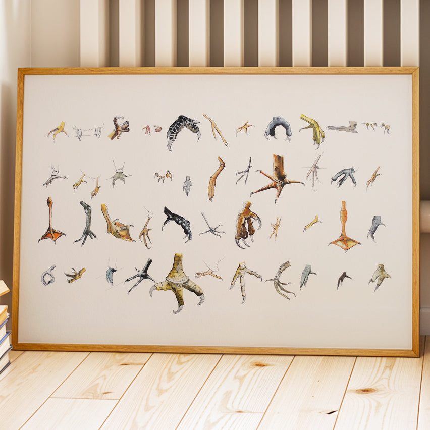 Framed bird feet illustrations print by Joy and Fury Art leaning on a wood floor