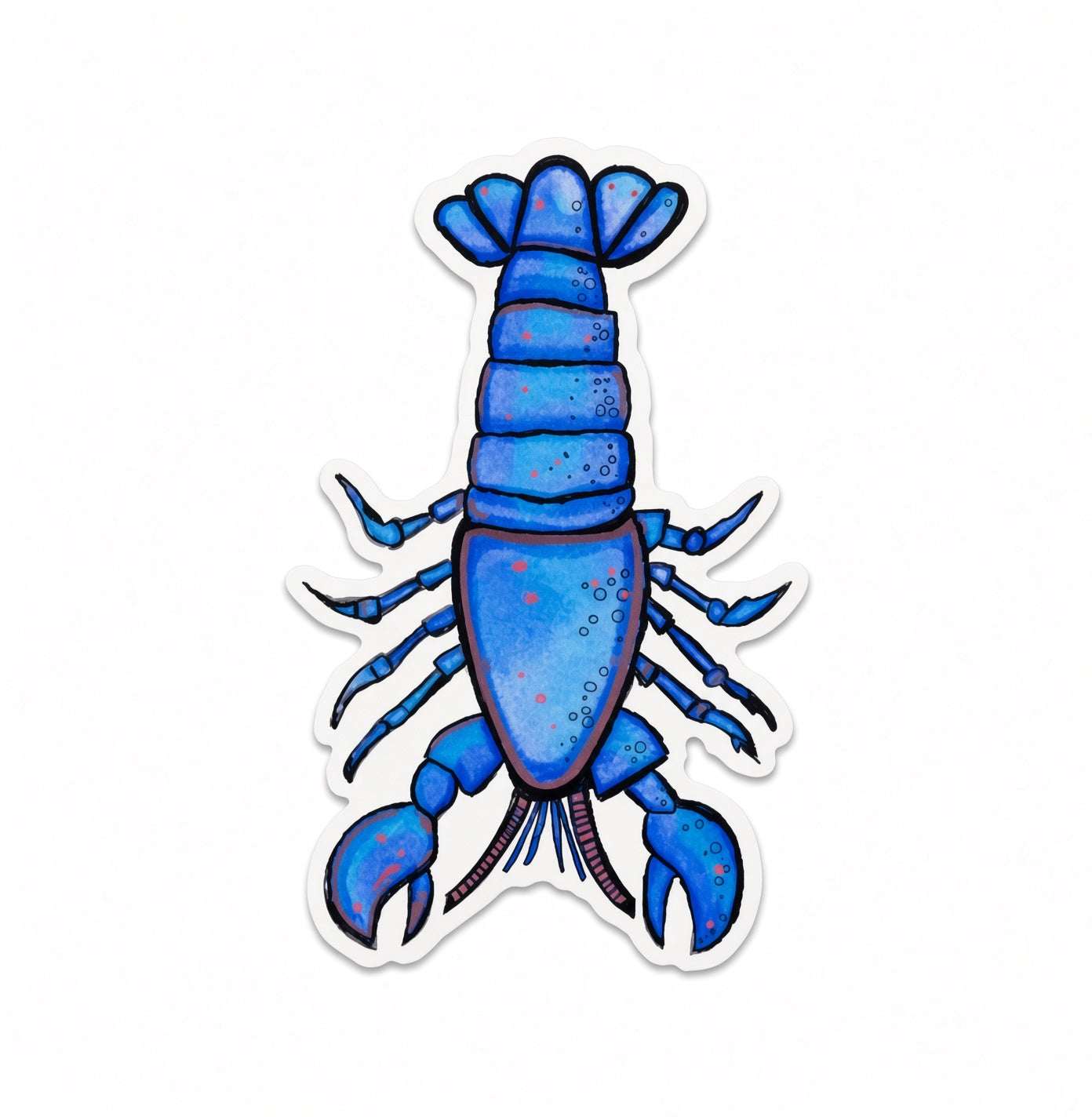 Blue lobster vinyl sticker by Joy and Fury Art
