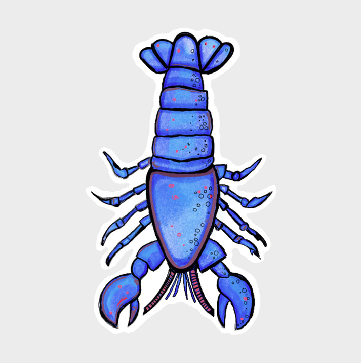 Blue Lobster