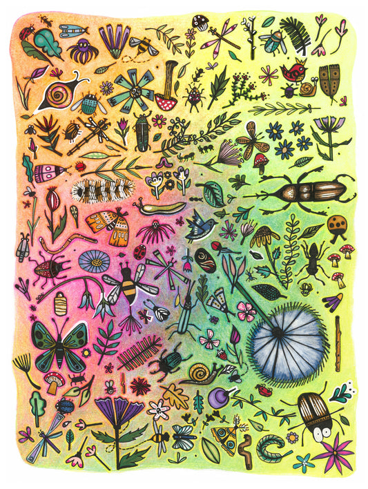 Abstract illustration collage of plants, bugs and birds