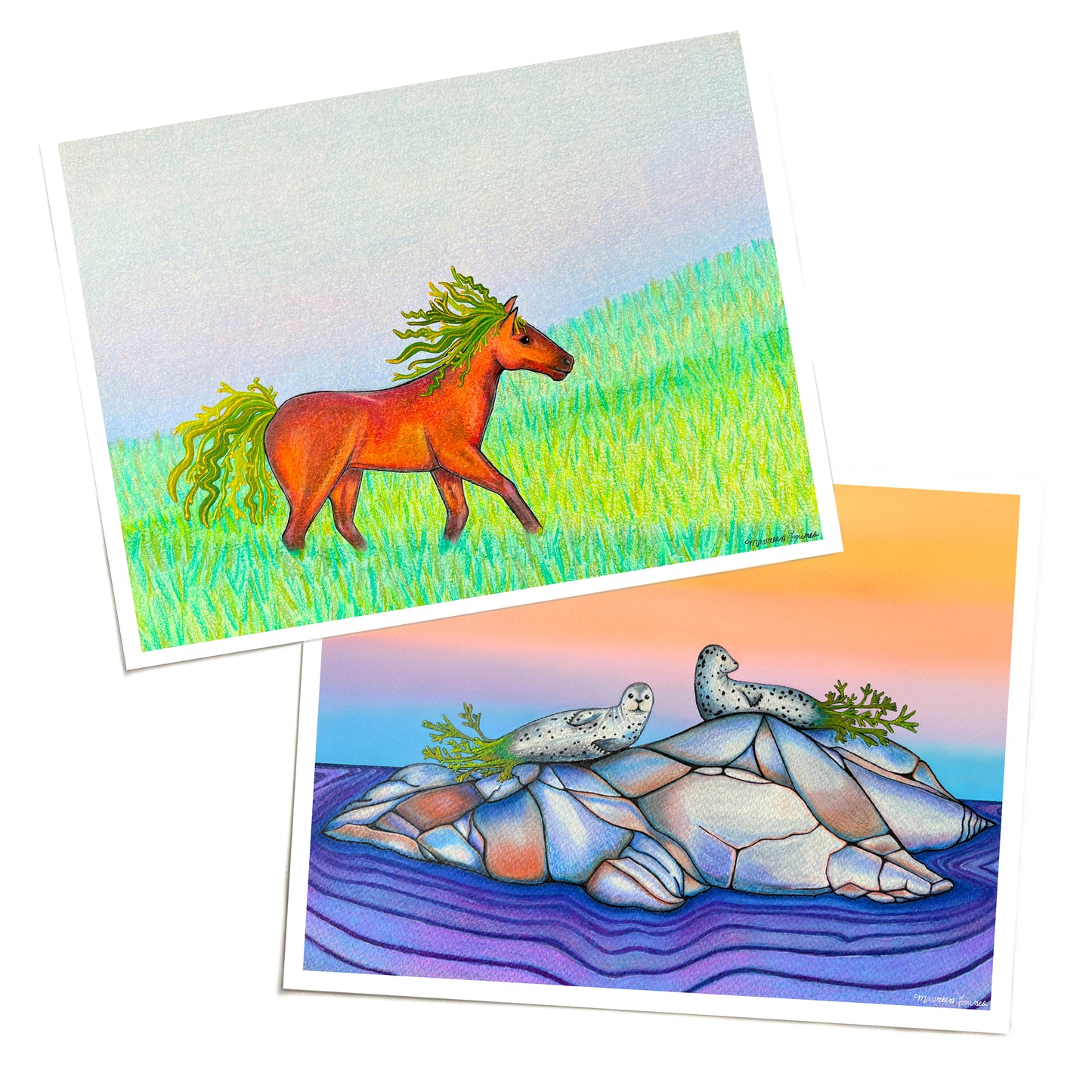 Seaweed Art Prints - Bundle