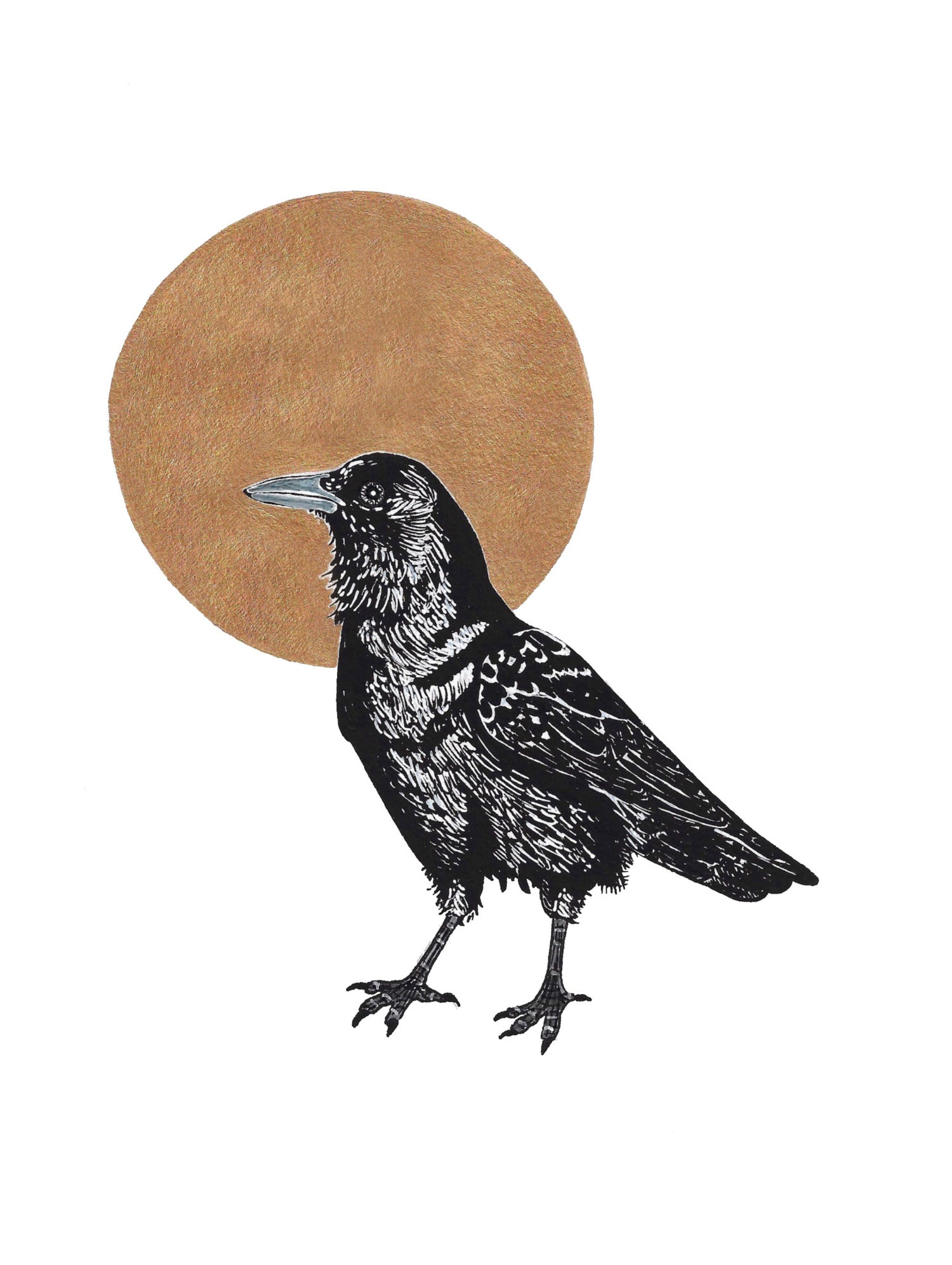 Crow in front of golden moon