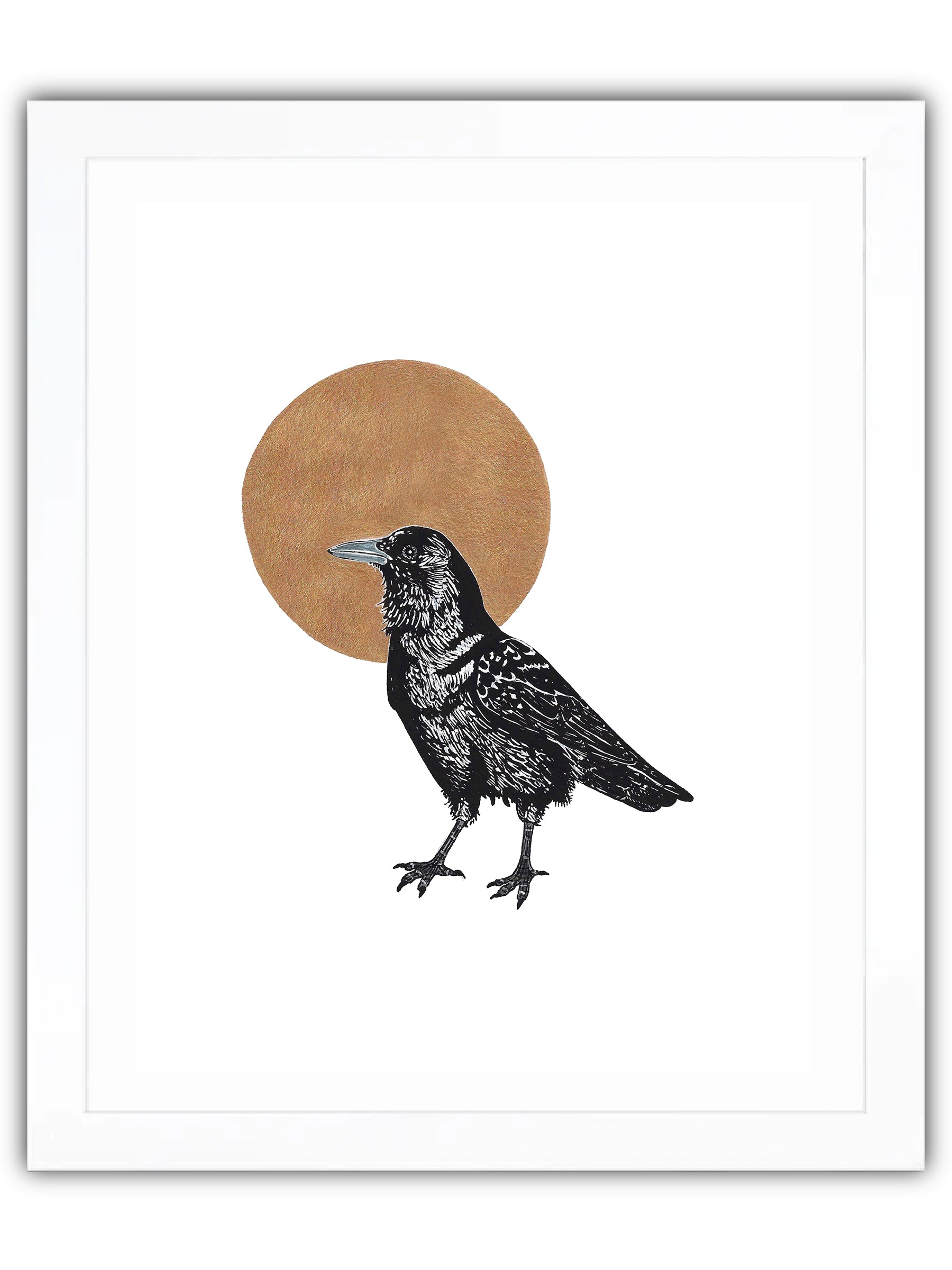 Crow in front of golden moon