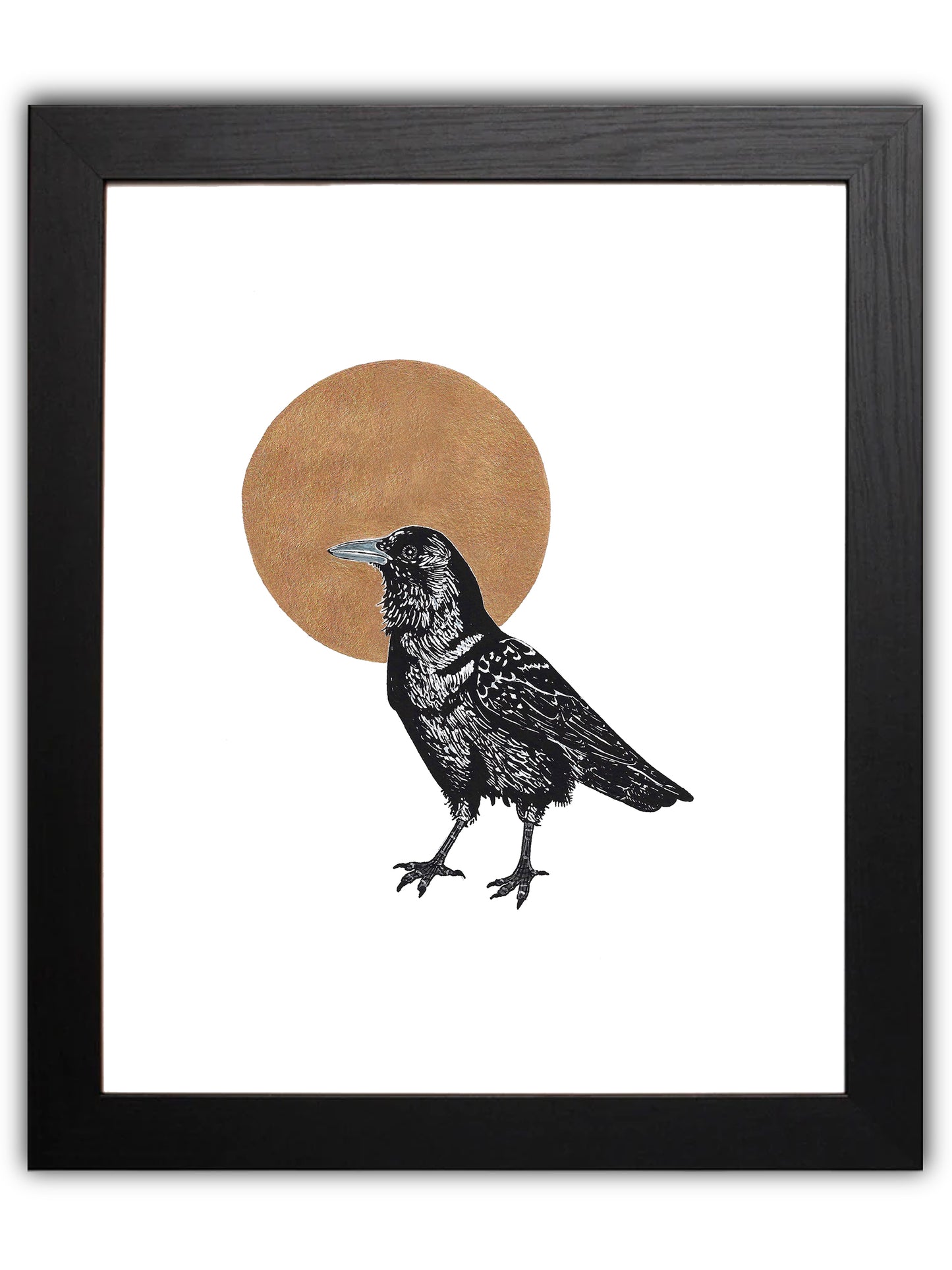 Crow in front of golden moon