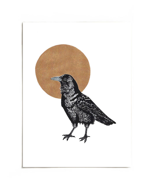 The Curious Crow