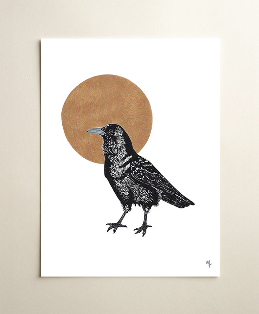 The Curious Crow