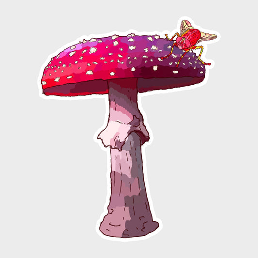 Red mushroom with fly