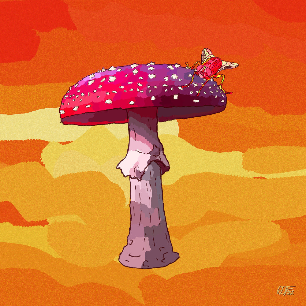 Red mushroom with fly on orange background