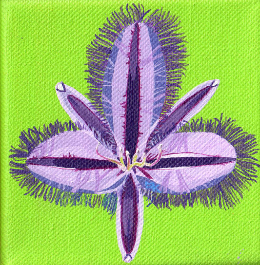 Purple flower on green background