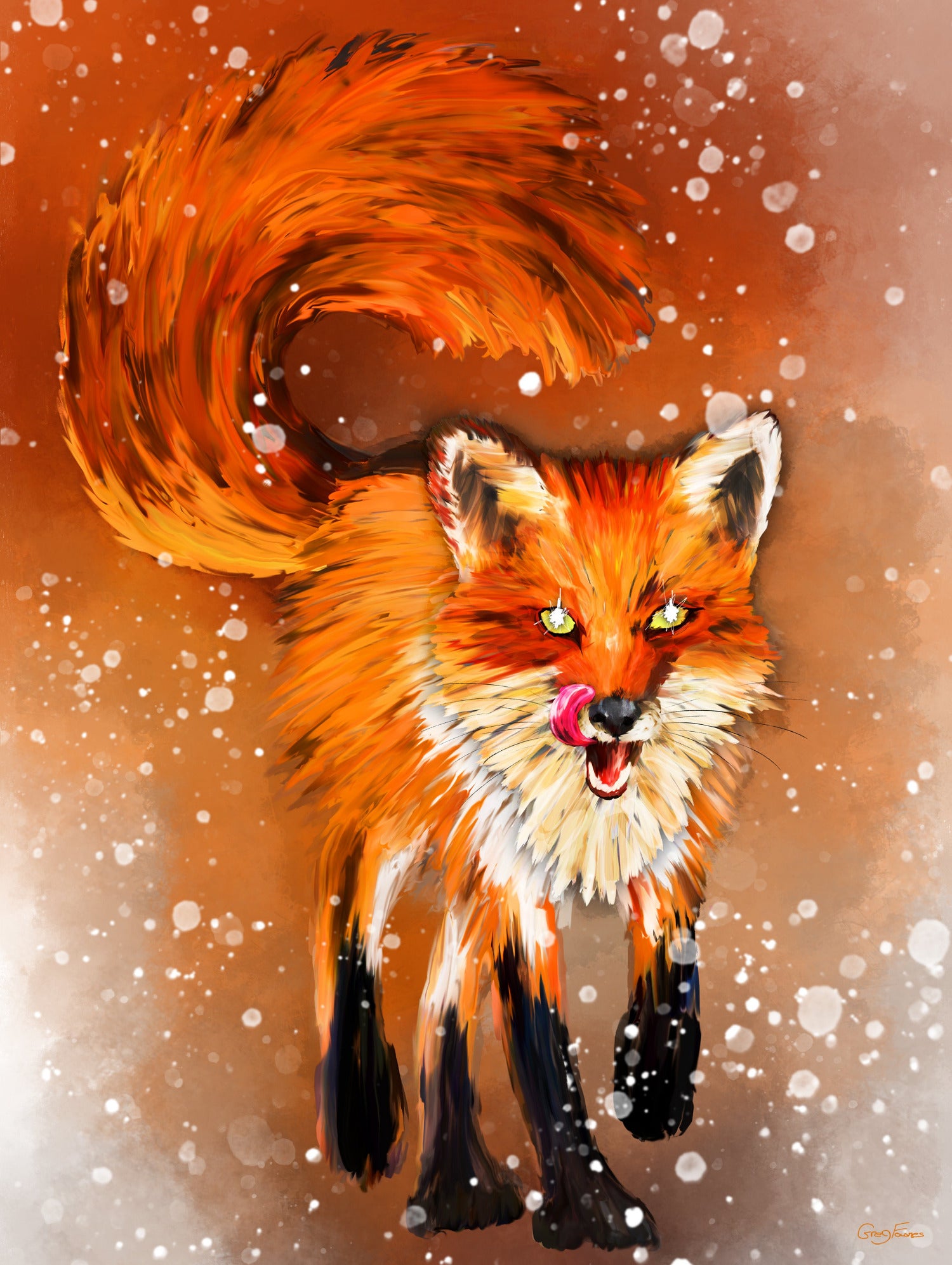 Red Fox trotting