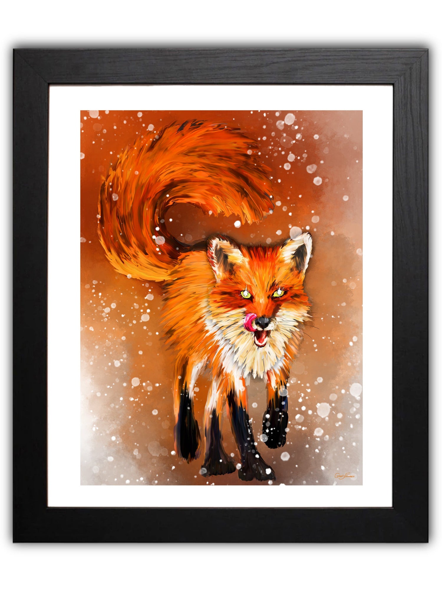 Red Fox Trotting